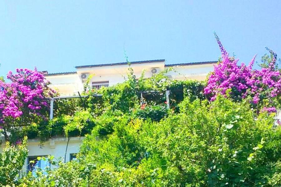 Guest House Madra Budva Exterior foto